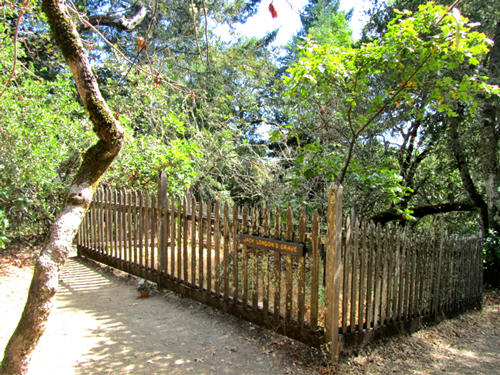 Jack London's grave in Jack London State Historic Park, slated for closure