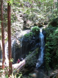 Russian Gulch State Park Fern Creek Canyon waterfall