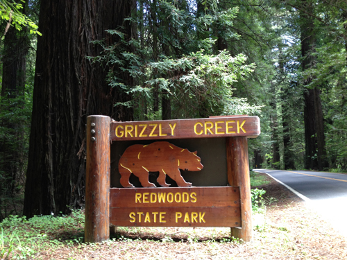 Grizzly Creek Redwoods State Park, Photo courtesy of Save the Redwoods League