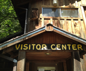 Grizzly Creek Redwoods State Park, Photo courtesy of Save the Redwoods League