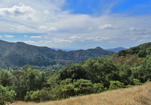 View north from Bald Mountain - Sugarloaf Ridge State Park