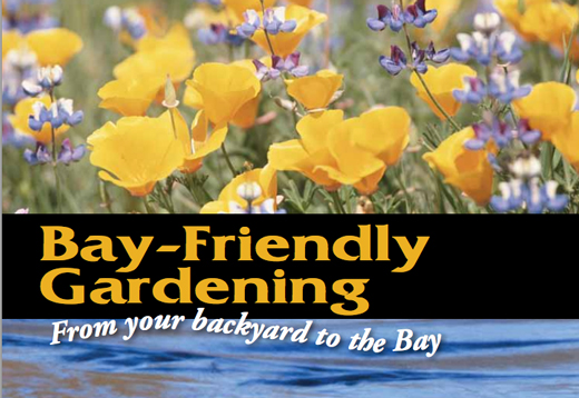 Link to Bay-Friendly Gardening guide. This 70+ page how-to guide provides gardening tips, a design survey and profiles of gardens.