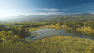 Jasper Ridge Biological Preserve