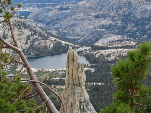 Climbers on Eichorn Pinnacle in Yosemite National Park. View from Cathedral Peak, June 2014. Photo by Christine Sculati.