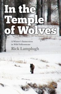 In the Temple of Wolves by Rick Lamplugh